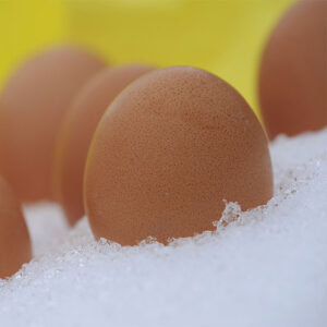 How to Freeze Eggs For Winter Use Image